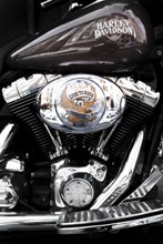 L&aacute;mina Live to Ride