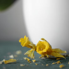 L&aacute;mina Still Life III